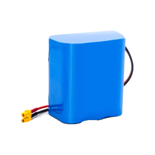 Pacco batteria da 11,1 V 10 Ah