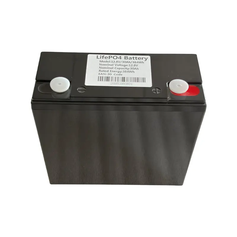 Pacco batteria LiFePO4 12V 30Ah