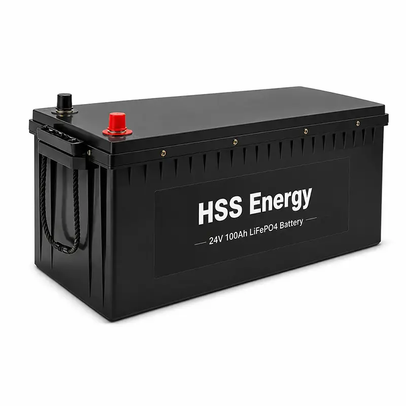 Batteria LiFePO4 da 24 V 100 Ah