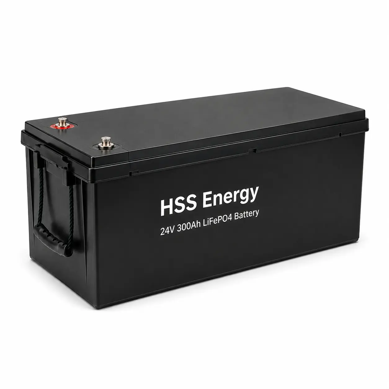 Batteria LiFePO4 da 24 V 300 Ah